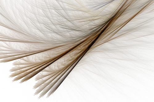 Feathery Layers